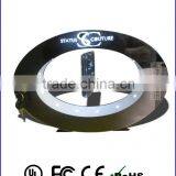 Auto Turning and Magnetic Levitating Display