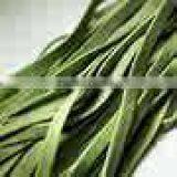 Pasta Making Machine Mod. C 240/V thumbnail-5