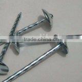 Twisted Umbrella Head Roofing Nail Factory