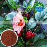 Roselle Hibiscus Sabdariffa Extract of High Quality