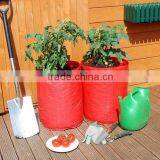 Garden Patio Tomato Growing Bag,Tomato Planter Bags,Tomato Planter thumbnail-1