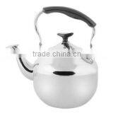 CK01P Stainless Steel Kettle