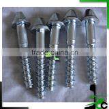 Screw Spikes With Plastic Dowels thumbnail-4