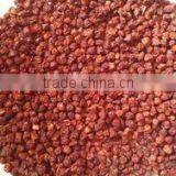 Gloriosa Superba Seeds Herbal - Treatment for Itching thumbnail-4