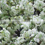 Romantic Artificial Indoor White Cherry Blossom Tree for Wedding Decoration thumbnail-2