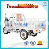 China Electric Three Wheeler Auto Rickshaw