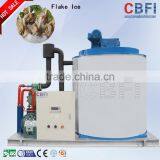 Intelligent Flake Ice Makers For Salmon Sashimi