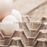 New Eco-friendly Paper Pulp Egg Tray Egg Cartons thumbnail-3