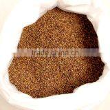 Baked Cassia Seed/ China Cassia Seed Tea thumbnail-3