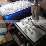Weihai Longyuan Fishing Tackle Co., Ltd. company overview - view 2 thumbnail