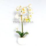 Artificial Arrangement - White Orchids thumbnail-1