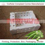 5kg pp Corrugated Plastic Okra Packing Box