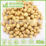 HACCP,ISO,BRC,HALAL Certification Garlic Peanuts With Best Quality and Hot Price thumbnail-1