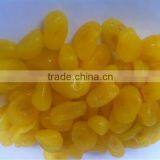 Dried Long Kumquat With 18-22% Moisture thumbnail-1