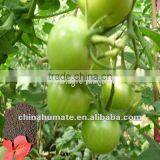 Microelement Fertilizer thumbnail-6