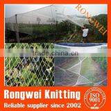 HDPE Virgin Material Anti Hail Protection Net With uv for Agricultural Leader Manufacturer (chinese Factory)