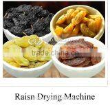 Raisin Drying Machine thumbnail-2