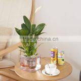 Round Clear Plastic Orchid Pot thumbnail-2