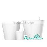 Artificial Flowers in Decorative Pots thumbnail-2