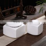 White galazed ceramic funeral pet ashes urns