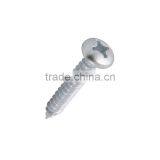 Phillips Head Screw(80658 Fasteners, Crosshead, Nails)