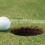 Blank White Tournament Golf Ball thumbnail-2