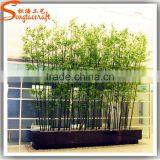 China Supplier New Product Bamboo Price Plastic Lucky Bamboo Plants for Sale thumbnail-1