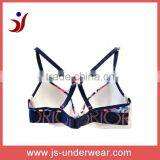 Factory OEM ODM Ladies Latest Design Bra / Ladies Sexy Bra Ladies Underwear Bra New Design thumbnail-2