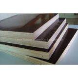 18mm Brown Film Faced Plywood / Marine Plywood Price/ Film Faced Shuttering Plywood/ Concrete Formwork Plywood
