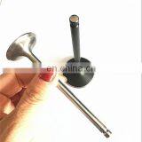 Indian Cheap Prices With Good Quality Engine Valve for Tata Tiago Tigor Venture Winger Xenon Pick up xt Zest thumbnail-7