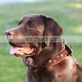 Soft Touch Basic Classic Padded Leather Pet Collars Adjustable Durable Dog Collars Pet Supplies thumbnail-1