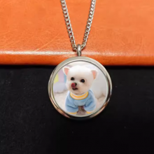 Custom Engraved Pet ID Pendant Necklace in Hypoallergenic Titanium thumbnail-2