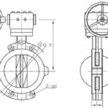 D371F4-16C Fully Lined Butterfly Valve With Worm Gear Drive thumbnail-2