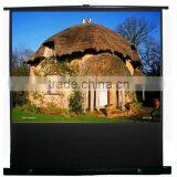 Portable Floor Up Screen Portable Perfect for Business Presentation