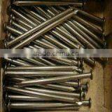Common Nail /building Material