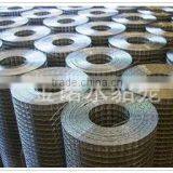 Best Quality Glavanized Welded Netting /welded Mesh(factory)
