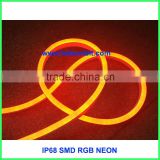 mini led rgb neon flex IP68 SMD5050 9X23mm