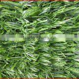 2013 Supplies Chicken Enclosure Wire Fencing Garden Buildings All Kinds of Garden Fence Gardening thumbnail-1