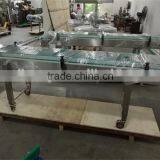 Belt Conveyor System for Packaging Line thumbnail-2