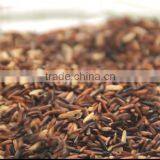 Thai Organic Rice thumbnail-1
