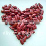 Dark Red Kidney Beans (new) thumbnail-1