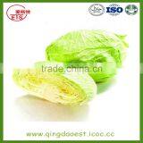 Chinese Hot Sale Fresh Cabbage With High Quality thumbnail-3