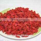 Edible dried fruit goji berry with top grade and best price