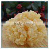 Chinese White Jelly Fungus thumbnail-3