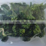 dehydrated green broccoli 2012