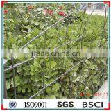 Pond Fence ---- Element Upper Arch. thumbnail-3