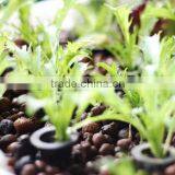 Expanded Clay Soil For Roof Garden,lightweight Expanded Clay Aggregate thumbnail-6