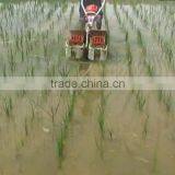 Paddy Weeder thumbnail-6