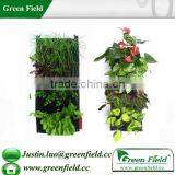 Green Field Living Walls Vertical Garden,Planting Green Roofs and Living Walls thumbnail-1