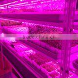 Best Led Grow Light Brands Vanqled for Indoor Plant Growing Lights Tubes 20w T8 4ft thumbnail-2